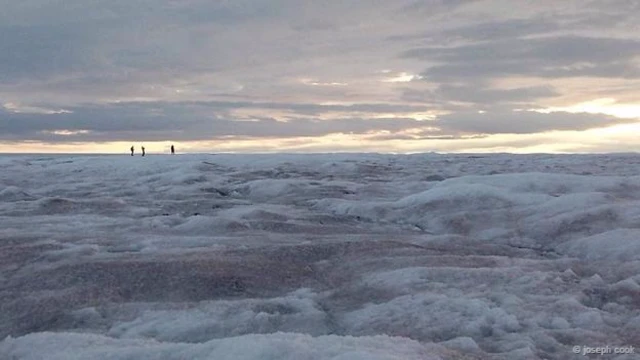 ग्रीनलैंड की आइसशीट. क्रेडिट- जोसेफ़ कुक.