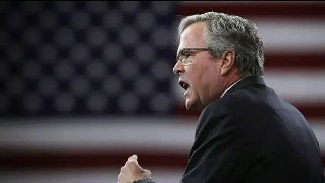 Jeb Bush