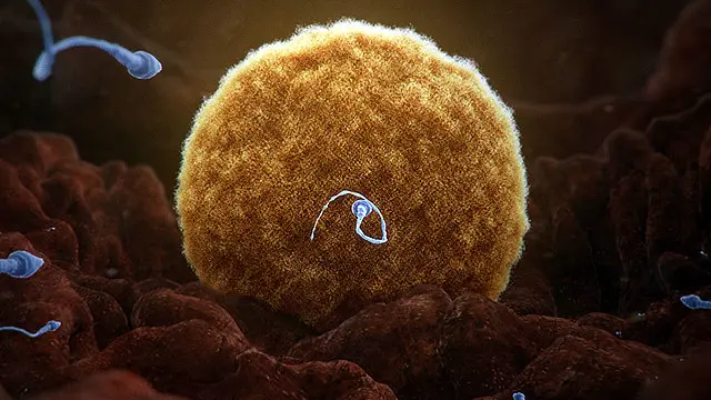 Ayollar kokrak sut sogish porno Mashhur rassom porno