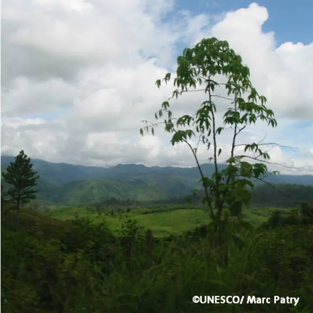 Tiene una extensión de 5.250 kilómetros cuadrados y abarca tanto montañas como tierras bajas de selva tropical.