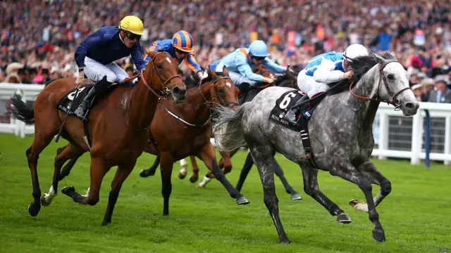 Скачки в Аскоте