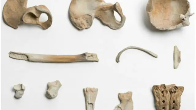 展品还包括陶瓷作品《遗骸》，它表现的是中国1950年代在毛泽东时代劳改营中所挖掘出的遗骨。