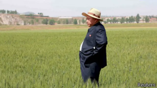 Kim Jung-un inspecciona un cultivo de arroz