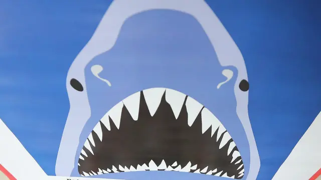 Poster Jaws
