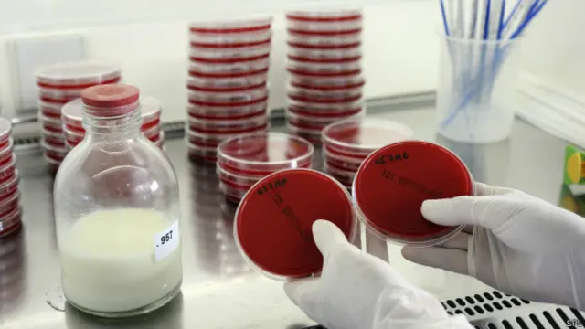 ASI yang dijual di dunia maya sering tidak terpasteurisasi sehingga peminumnya terancam terpapar hepatitis B dan C, HIV serta sifilis.