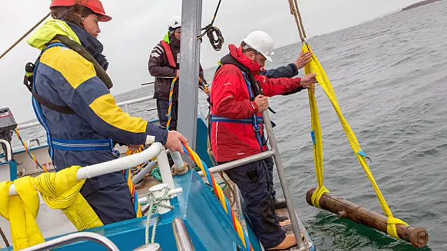 Foto: Ministério das Artes, Patrimônio e Idioma Irlandês