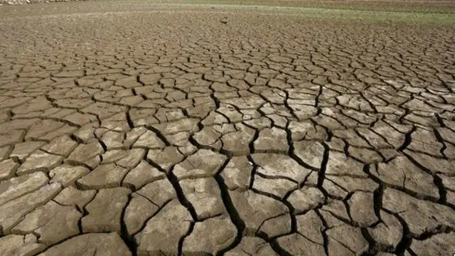 زمیں کے ناپید ہونے کے خطرے میں موسمیات کی تبدیلی، آلودگی اور جنگلوں کی روزبروز کمی اہم وجوہات میں شامل ہیں