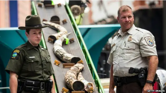 美国当局在纽约时代广场公开销毁约一吨非法象牙制品。