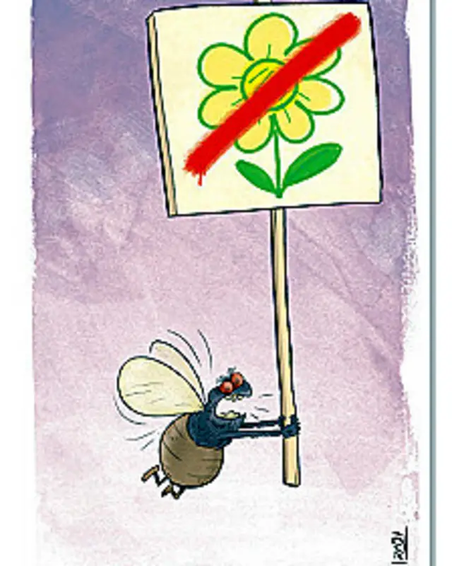 کارتون محسن ایزدی، بی قانون 