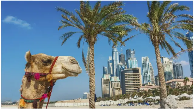 Tăng trưởng thứ nhì: Dubai, Các Tiểu Vương quốc Ả rập. Thị trường nhà ở Dubai cũng sụp đổ trong đợt suy thoái kinh tế 2008. Giá bất động sản ở thành phố sa mạc này bỗng chốc giảm phân nửa. Các dự án xây cất nhằm cho ra các căn nhà trị giá hàng trăm ngàn đô la bị đình trệ hoặc huỷ bỏ hoàn toàn. Nhưng ngay khi kinh tế toàn cầu bắt đầu phục hồi, nhu cầu nhà ở đã tăng trở lại một cách nhanh chóng, mạnh mẽ. Hoạt động xây dựng lại trở nên sôi động và người ta lại vội vã mua tranh bán cướp y như trước. Dubai là thị trường bất động sản đứng thứ nhì thế giới với giá nhà tăng gần 13% trong năm 2014. 
Tuy nhiên, có một số dấu hiệu cho thấy quá trình hồi phục đang giảm dần, chẳng hạn như lượng giao dịch trong tháng Tư 2015 chỉ bằng phân nửa so với cùng kỳ năm 2014. Hãng kiểm toán Deloitte cũng dự báo trung bình giá nhà ở Dubai “có thể tiếp tục giảm nhẹ từ 1% đến 5%” trong nửa đầu năm 2015. 