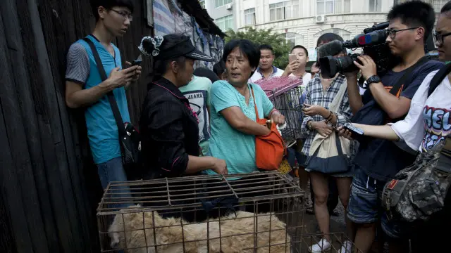 جانوروں کے حقوق کے بعض کارکنان نے کتوں کو ذبح ہونے سے بچانے کے لیے اسے خرید لیا