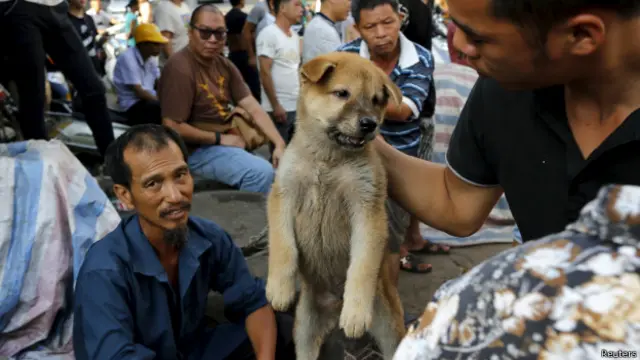 यूलिन डॉग मीट फ़ेस्टिवल