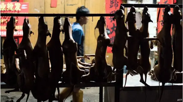 Tradisi makan daging anjing dan leci sudah dilakukan ratusan tahun lalu, tapi tidak festivalnya.