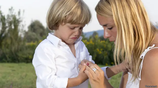 La herida comienza a sanar en el momento en que se produce la herida.
