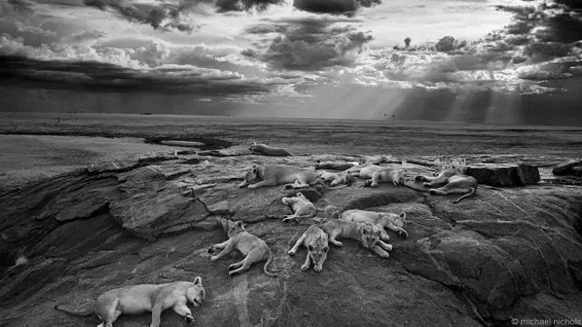 "Последний великий снимок"