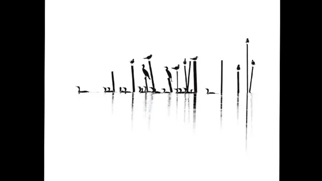 Foto: Constance Mier.