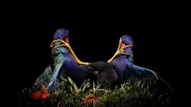 Foto: Mary Angela Luzader. 