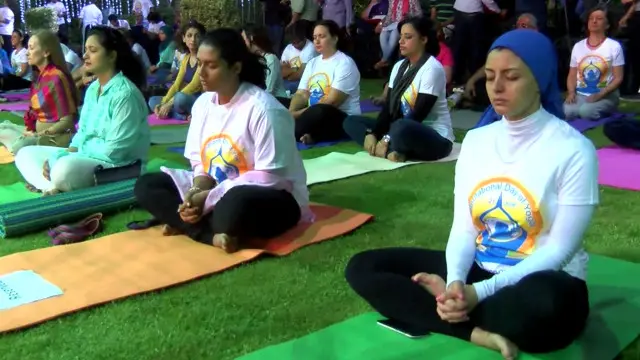 اقوام متحدہ نے 21 جون کو عالمی یوم یوگا قرار دیا ہے اور رواں سال پہلی بار عالمی سطح پر یوگا ڈے منایا گیا