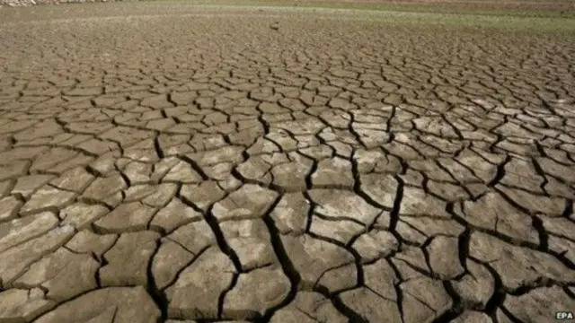 İqlim dəyişikliyi yoxolmaya təkan verir