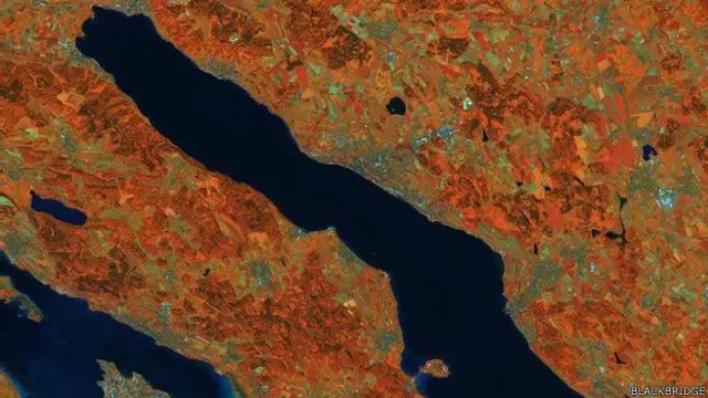 Simulasi ini menunjukkan bagaimana perbedaan tanaman bisa ditampilkan, termasuk kandungan klorofil.