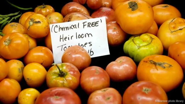 (图片来源：Science Photo Library)