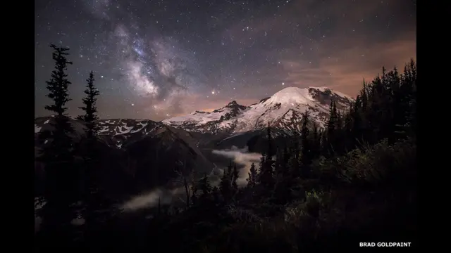 "Темнота лунного света" Бреда Голдпейнта