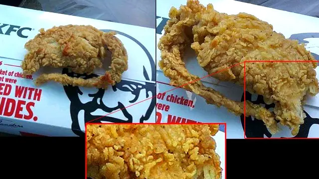 Tikus atau ayam? KFC mengkonfirmasi itu adalah ayam. 