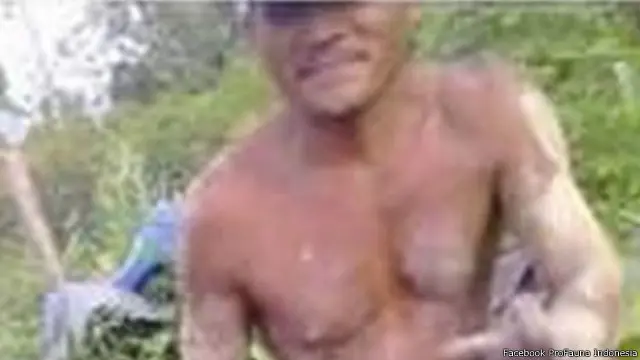 tersangka pembakar orang utan