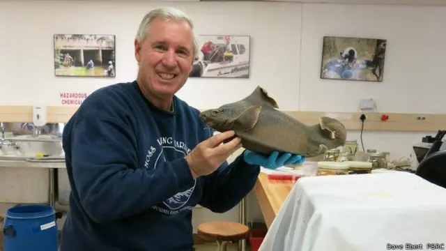 Ebert con un tiburón