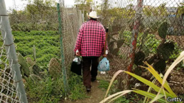 Donald Trump, respuesta, carta, joven mexicana, viral