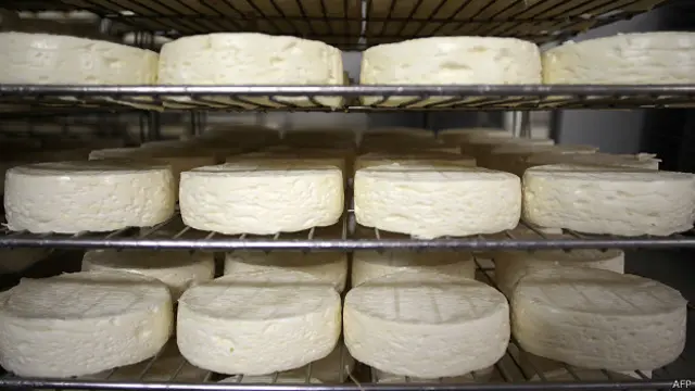 Камамбер сыр