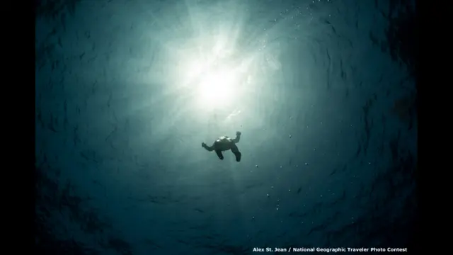 Kontes foto perjalanan Nat Geo