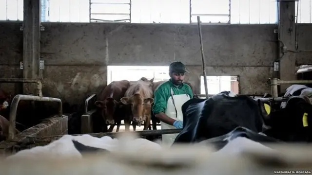 इटली का सिख समुदाय