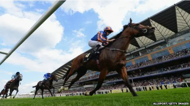  ایسکوٹ ریس کورس ملکہ کی جائیداد میں شامل ہے