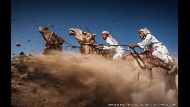 Ahmed Al Toqi presentó esta imagen de una carrera tradicional de camellos en Omán. 


