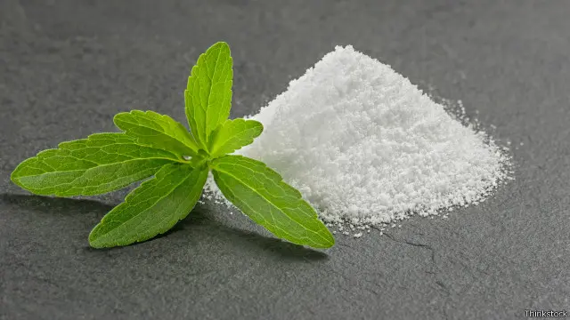 Tanaman stevia
