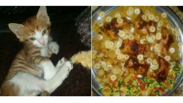 Di Suriah, dia memasak bersama teman-temannya, mengadopsi seekor kucing dan menyukai “berpesta dengan halal” pada saat Idul Fitri, yang artinya “makan dan bersenang-senang dengan para ikhwan [saudara-saudaranya]”.