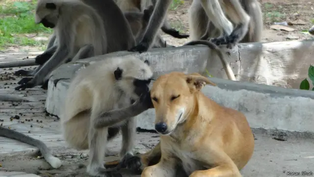 private conversation