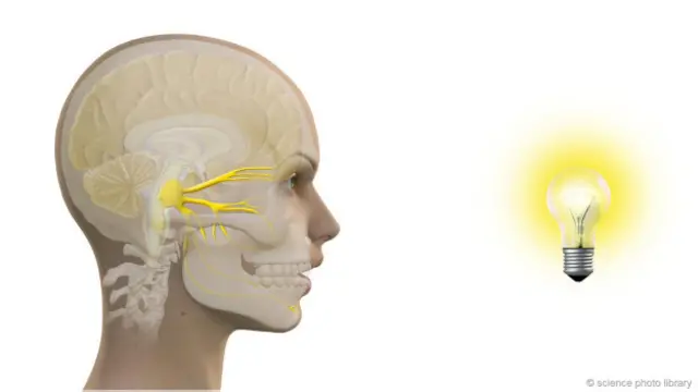 Una figura de un cráneo frente a un bombillo encendido