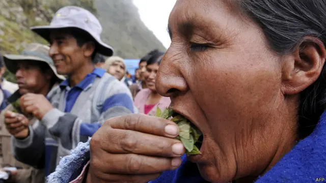 Боливийская женщина жует листья коки