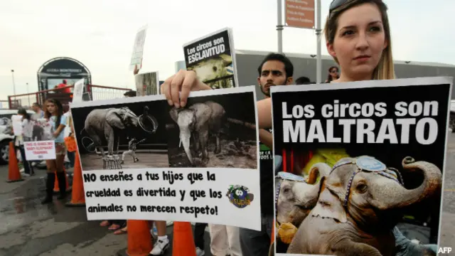 Manifestación a favor de la ley que prohíbe el uso de animales silvestres en los circos