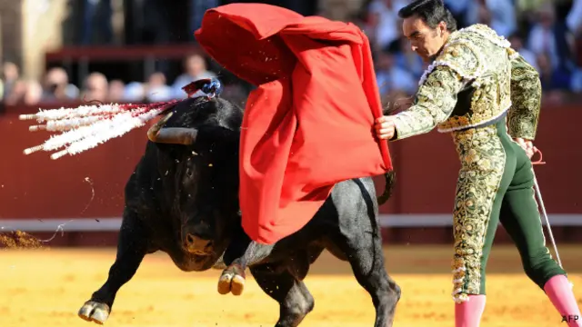 Corrida de toros en México