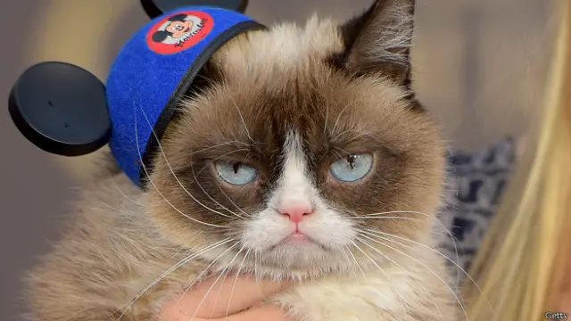 grumpy_cat