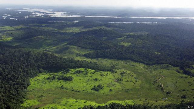 Amazônia | Foto: AFP