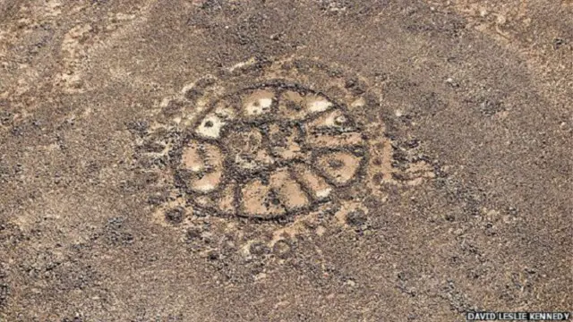 كيف تبدو فخاخ الحيوانات الشبيهة بالطائرة الورقية من الجو