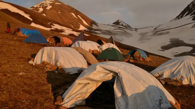 यार्सागुम्बाको कारोबार ठूलो हुने भएकाले गाउँले मात्रै होइन व्यापारीहरु पनि पाल टाँगेरै केही समय बिताउने गरि यार्सागुम्बा संकलन स्थलमा पुग्छन्।