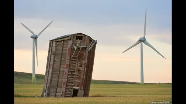 Great horned owl (Bubo virginianus) Location: Pincher Creek, Canada Photographer: Jenaya Launstein 