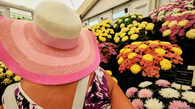 На выставке цветов в Хэмптон-корте. Фото Александра Баранова