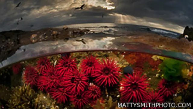 Crimson dawn. Foto: Matty Smith