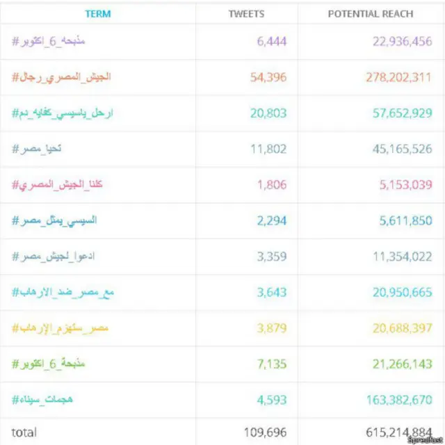 يظهر الرسم التوضيحي عدد من الهاشتاغات التي تناولت التداعيات الأمنية في مصر.